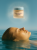 Gallery_photo_2.png