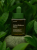 Gallery_photo_1.png